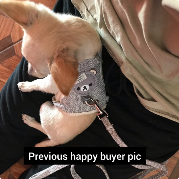 Cute Small Pet Harness & Leash set brand new in grey, adjustable breathable - Picture 13 of 14